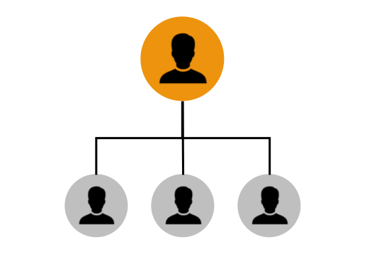 Organogram Interim Manager Interim Manager Martijn van Dalen